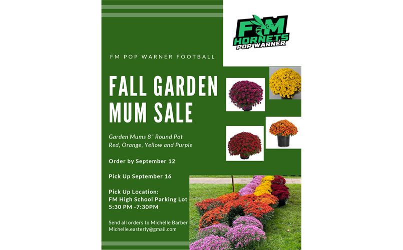 Fall Mum Fundraiser
